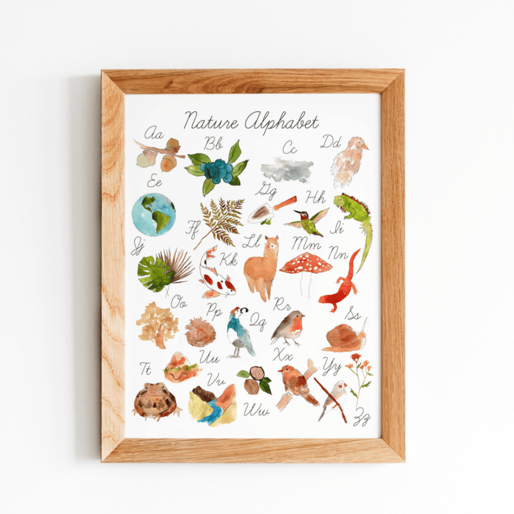 Cursive Alphabet Handwriting – Acorn to Oak
