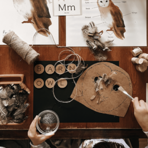 Barn Owl Nature Study