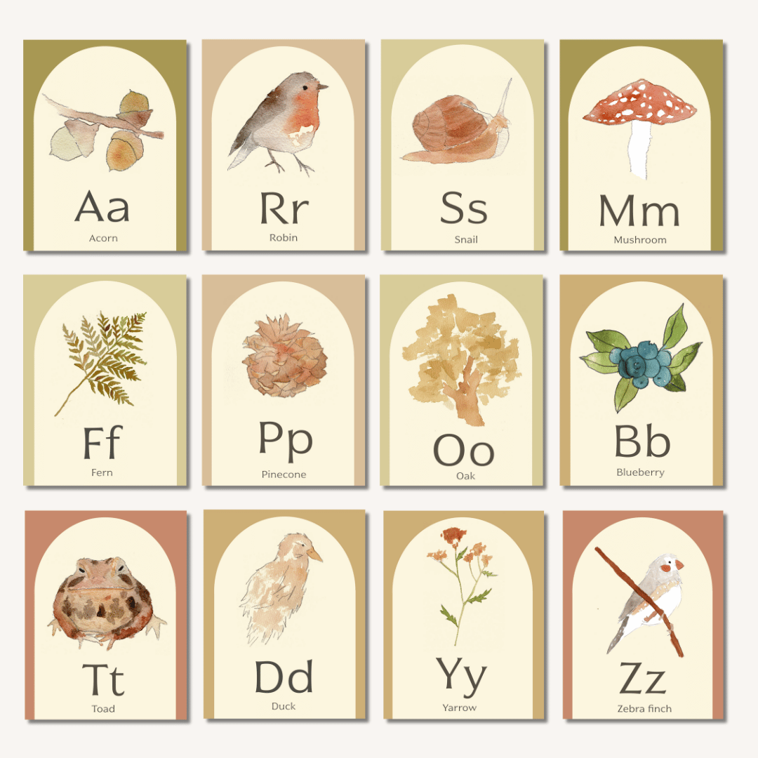 Nature Alphabet Flash Cards - Image 5