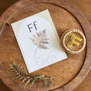 Nature Alphabet Flash Cards