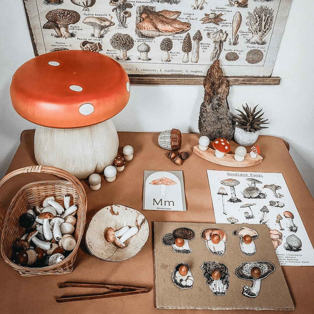Mushroom Study - Image 4