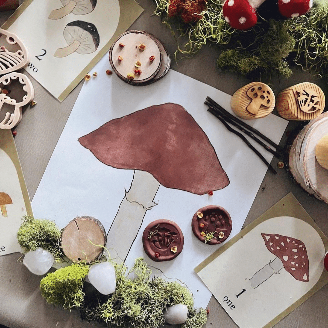 Mushroom Study
