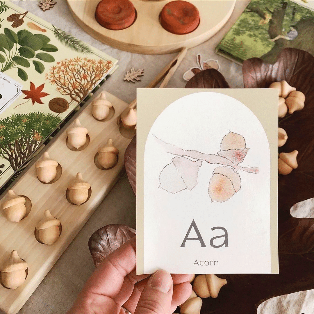 Nature Alphabet Flash Cards - Image 3