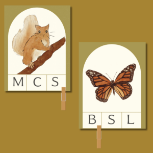 Beginning Letter Clip Cards