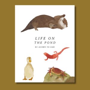 Life on the Pond
