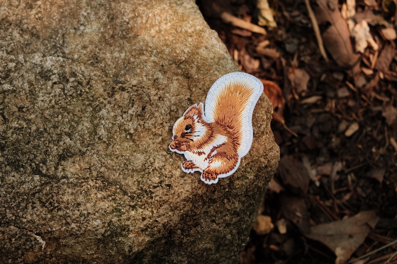 Squirrel Badge - Fern Fox Nature Club - Image 3