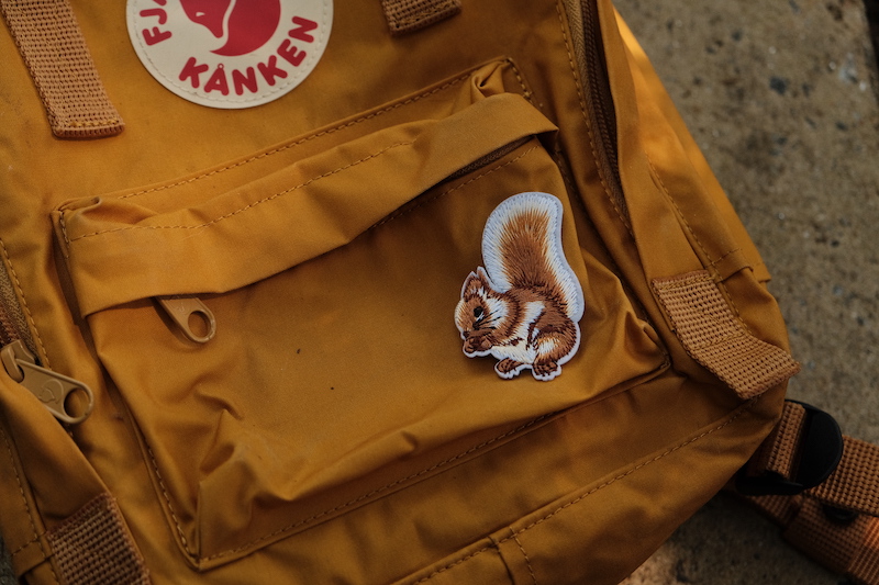 Squirrel Badge - Fern Fox Nature Club - Image 4