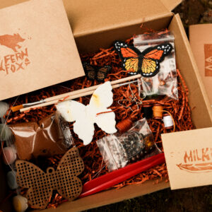 Monarch Butterfly Craft Box - Fern Fox Nature Club
