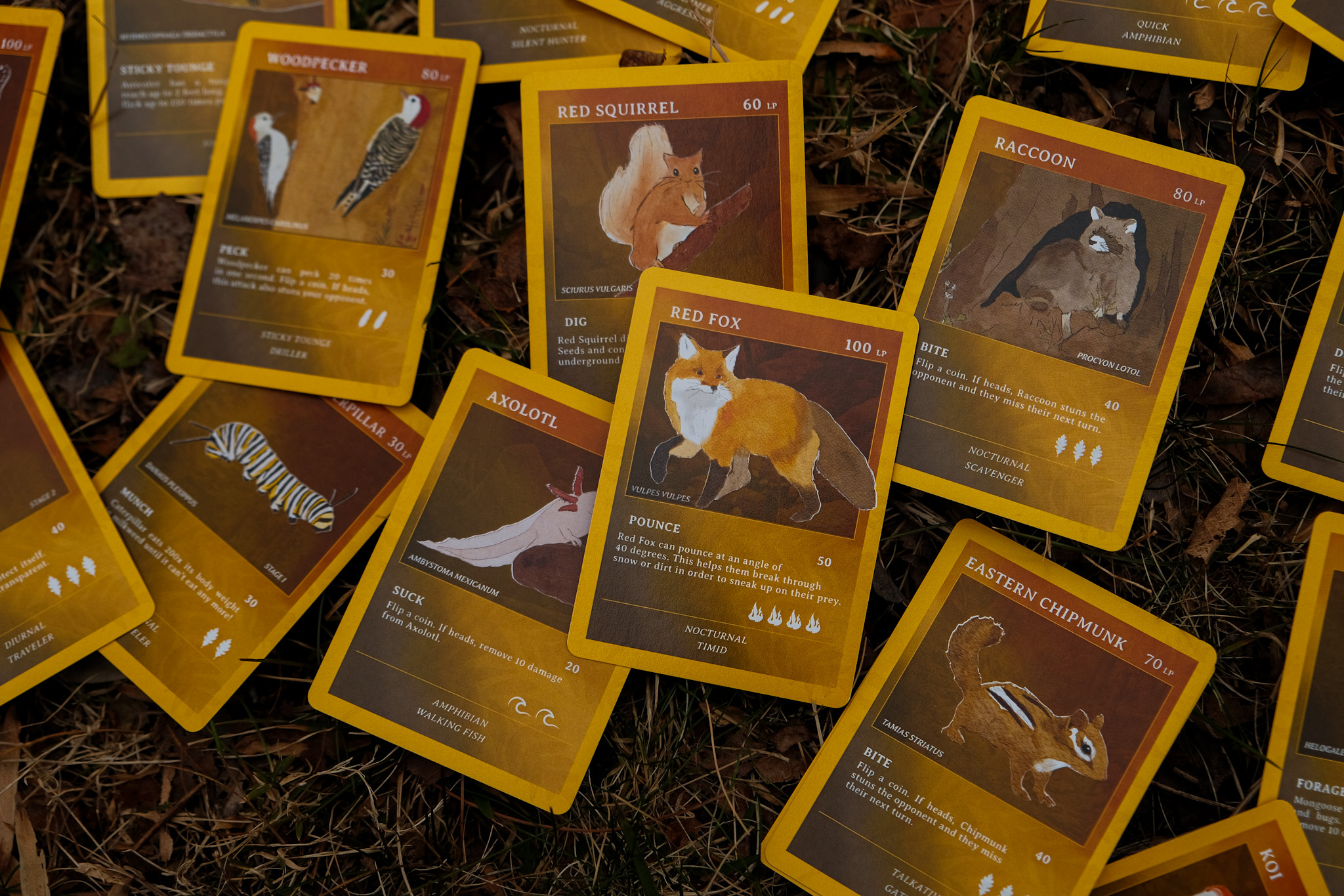 Pocket Forest