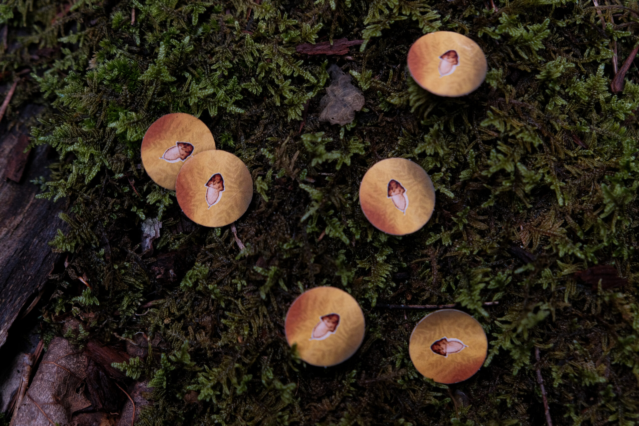 Pocket Forest - Image 3