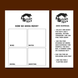 Seed Dispersal Study PDF - Fern Fox Nature Club