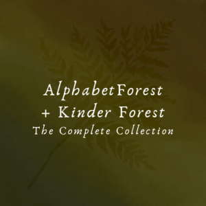 Alphabet Forest + Kinder Forest Collection Paperback
